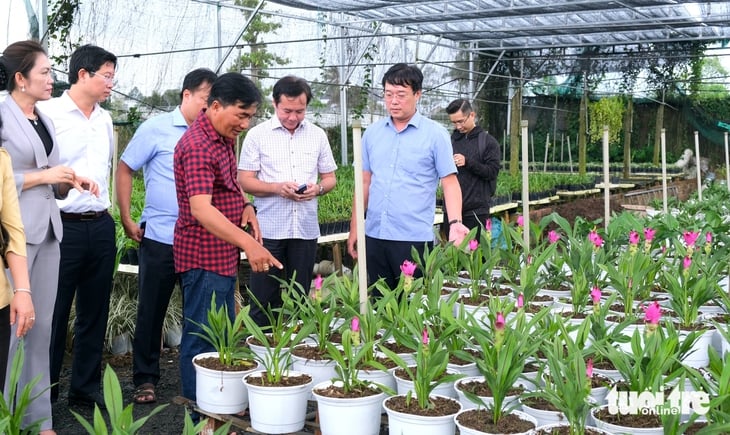Festival hoa kiểng Sa Đéc phải tạo ra 'cú hích' về du lịch và thị trường hoa Tết - Ảnh 1.
