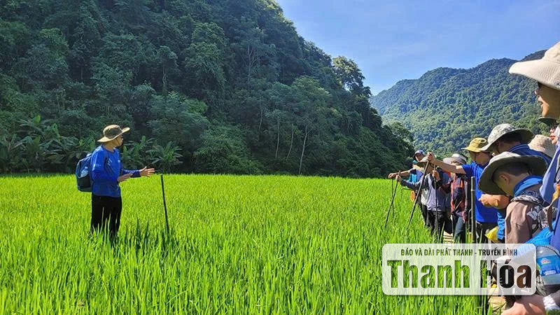 ទេសចរណ៍ដើរលេង - បទពិសោធន៍ដ៏មានតម្លៃ និងកំណត់ចំណាំសុវត្ថិភាព