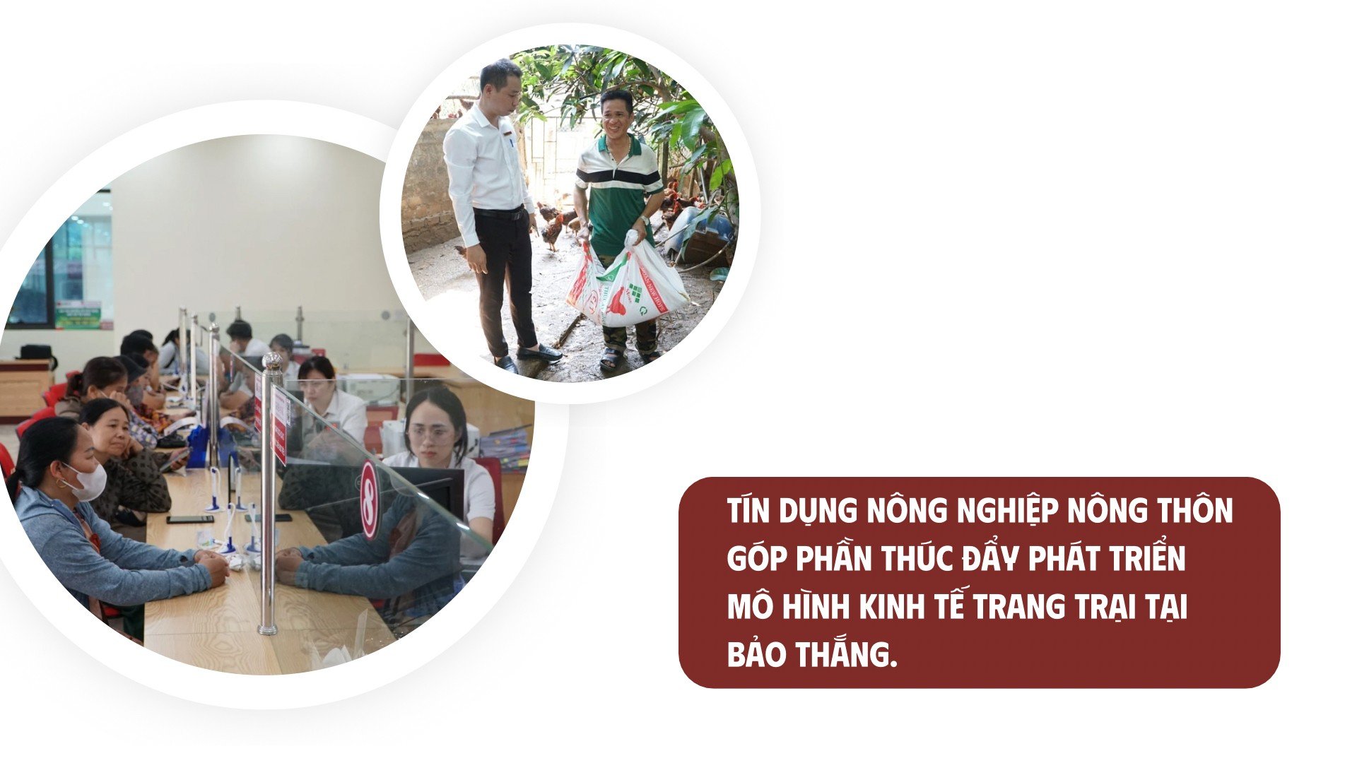rin-dung-xanh-2.jpg