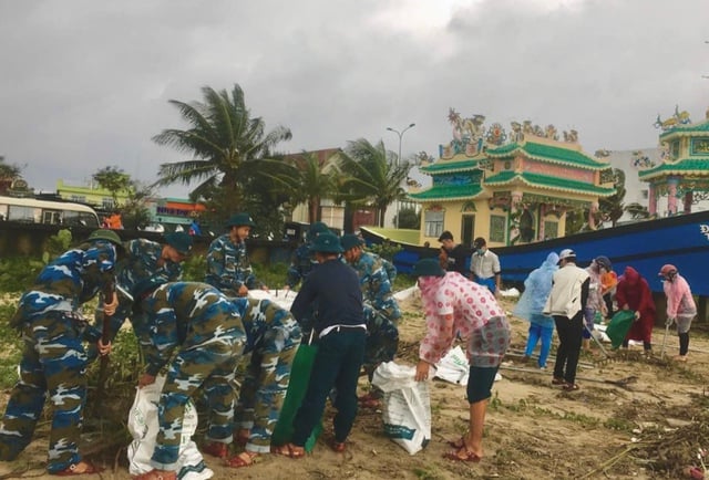 Màu xanh sau bão- Ảnh 4.