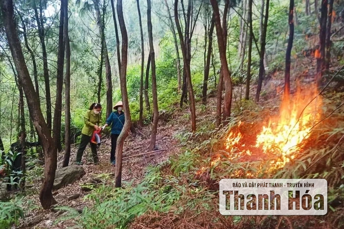 ពង្រឹងការអនុវត្តភារកិច្ច និងដំណោះស្រាយការពារព្រៃឈើ និងបង្ការ និងពន្លត់ភ្លើងឆេះព្រៃ