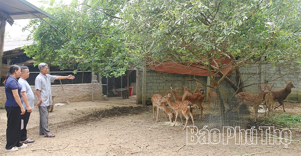 ជនជាតិ Cao Lan ជាជនជាតិមានកិត្យានុភាពល្អខាងសេដ្ឋកិច្ច