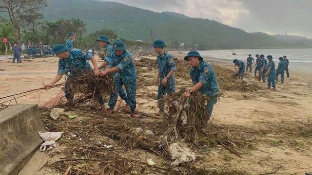 Màu xanh sau bão- Ảnh 5.