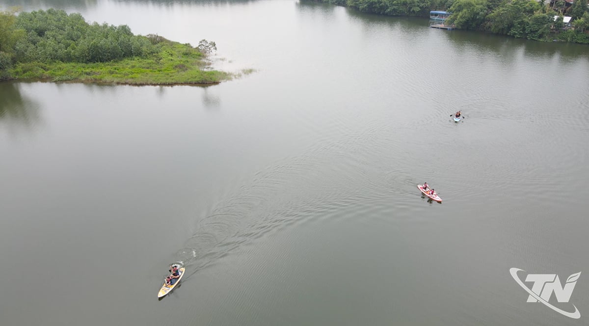 Les familles participent au défi Sub Rowing.