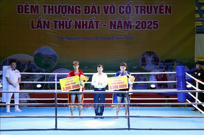 Đêm thượng đài - tôn vinh tinh thần thượng võ Việt Nam - Ảnh 3.