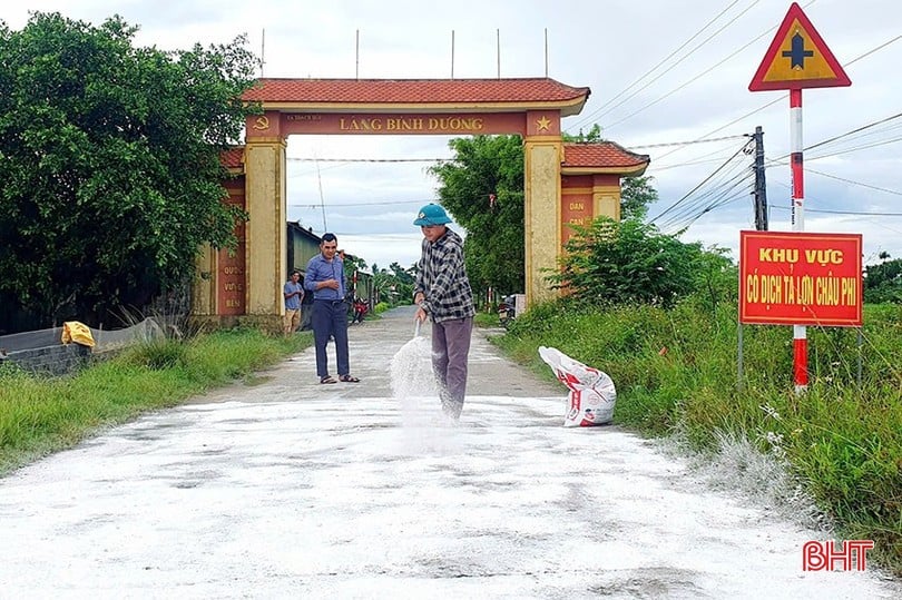 image-1.jpg