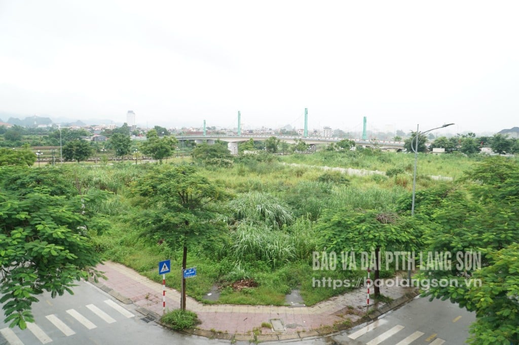 ドンキン区の商業サービス用地1区画は、2025年の土地使用権オークション計画に含まれている。