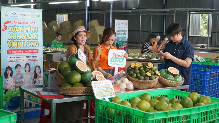 No futuro, a província continuará promovendo produtos e especialidades agrícolas de Vinh Long e expandindo o mercado de consumo por meio de plataformas digitais.