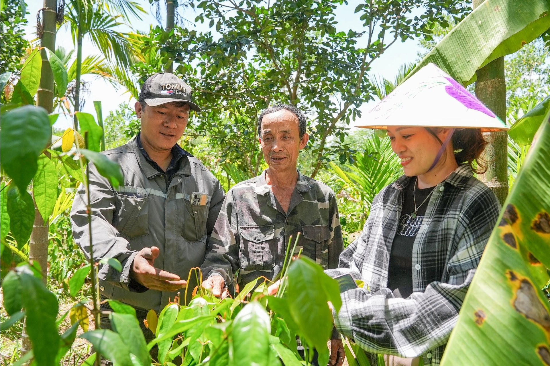 LANH NGOC 1