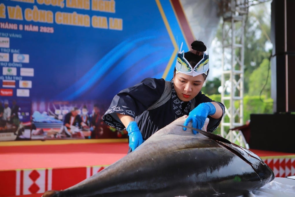 5.000 suất cá ngừ chiêu đãi du khách miễn phí - 2