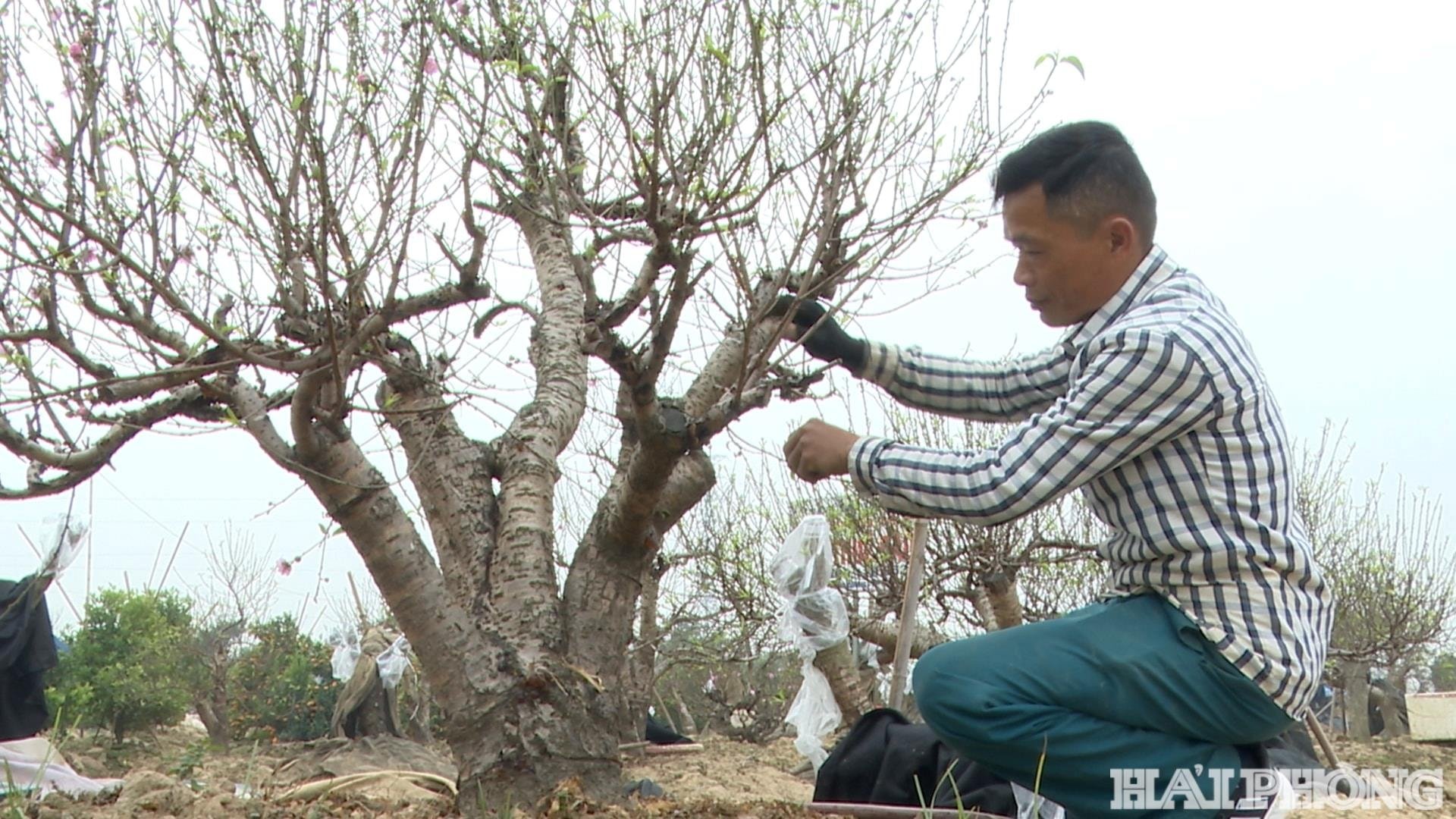 ស្នេហា-2(1).jpg
