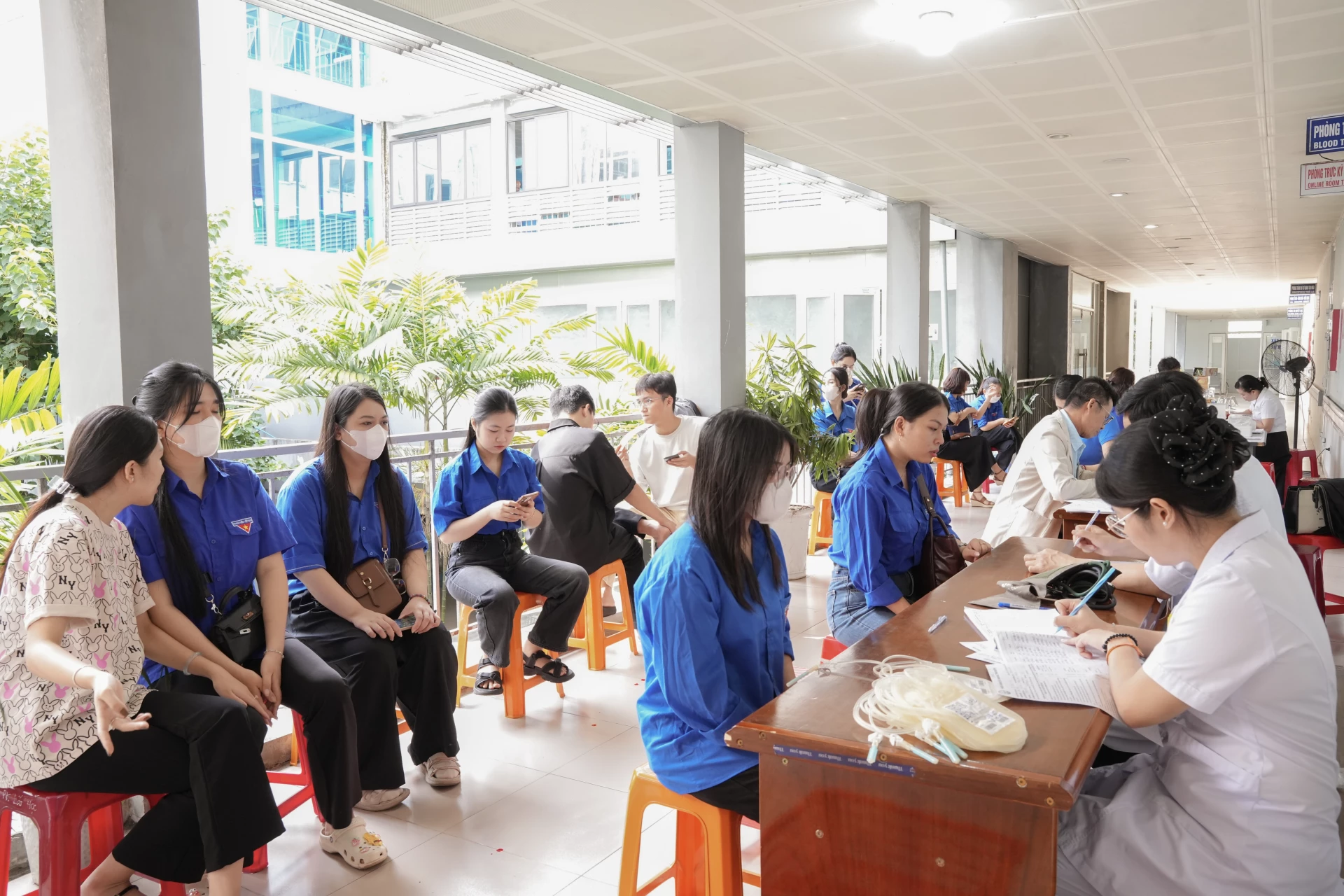 Truc 06461: Voluntary blood donation program attracts the participation of many youth union members - Photo: T.T