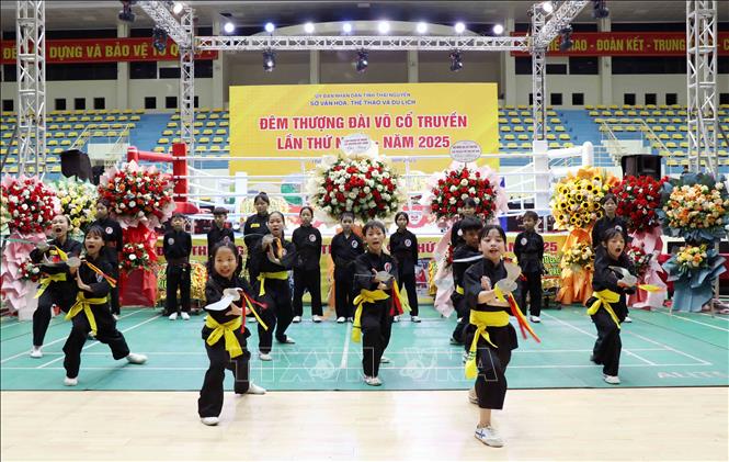 Đêm thượng đài - tôn vinh tinh thần thượng võ Việt Nam - Ảnh 2.
