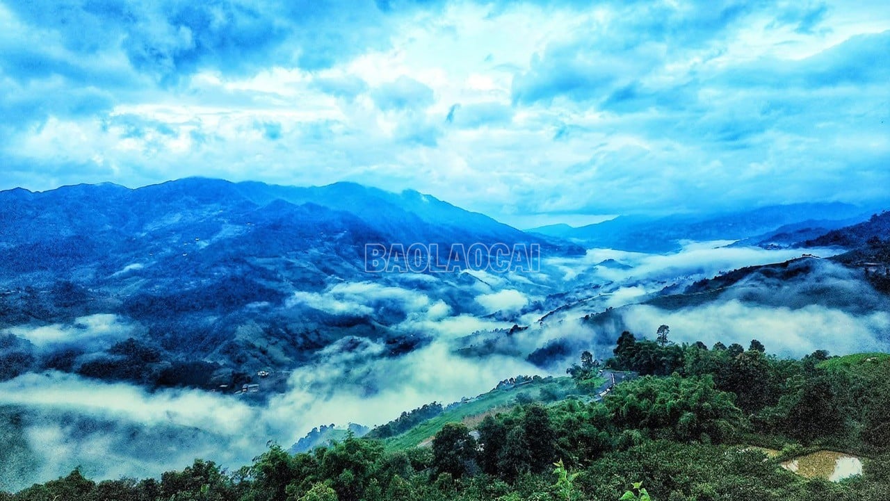 baolaocai-c_z6957566865103-7c142bfa8a0f80fea6aeb540fdb26e22.jpg