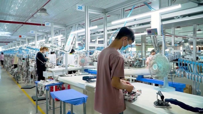 Đủ hiểu biết, đủ niềm tin, đủ chính trực để thực hành xanh - Ảnh 3.