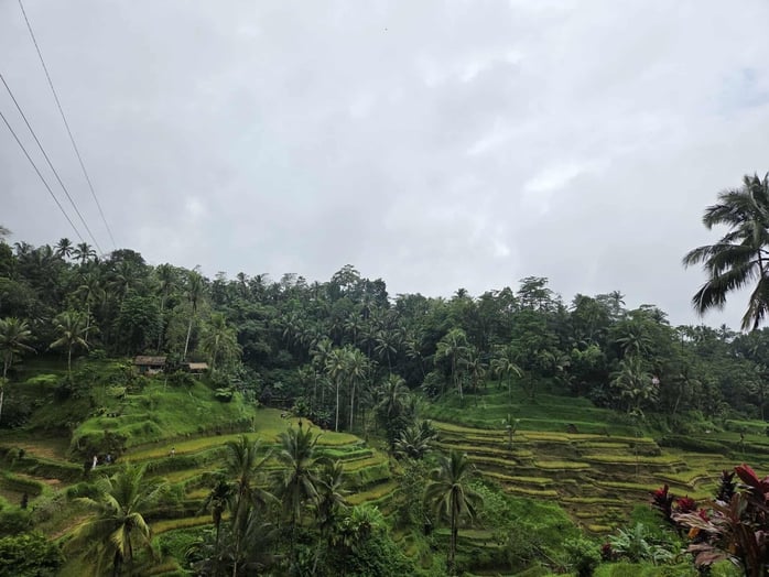 Ruộng bậc thang ở Bali có gì thu hút khách Tây đến thế?- Ảnh 3.
