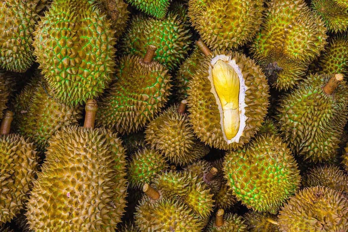 តម្លៃ​ទុរេន​ថ្ងៃ​ទី​២ ខែ​សីហា៖ តម្លៃ​ឡើង​ថ្លៃ​ច្រើន​កន្លែង ការ​នាំ​ចេញ​រីក​ចម្រើន