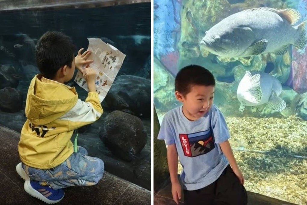 Chuyện cảm động về cậu bé viết thư hỏi thăm những chú cá “mất tích” - 2