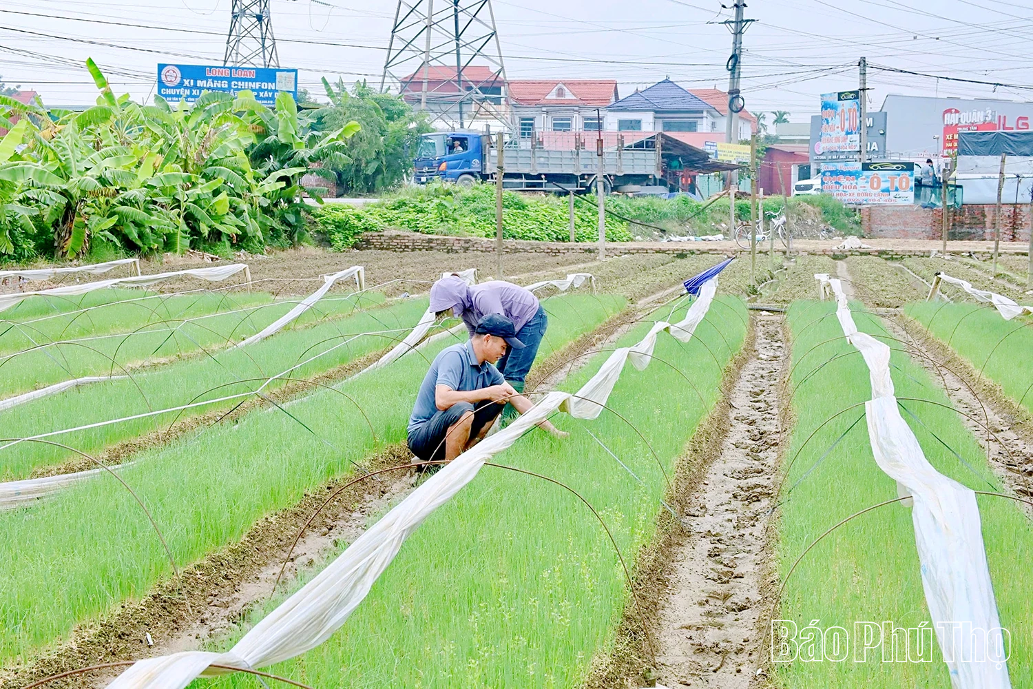 ชุมชนหวิญหุ่ง: ความก้าวหน้าเปิดทิศทางใหม่