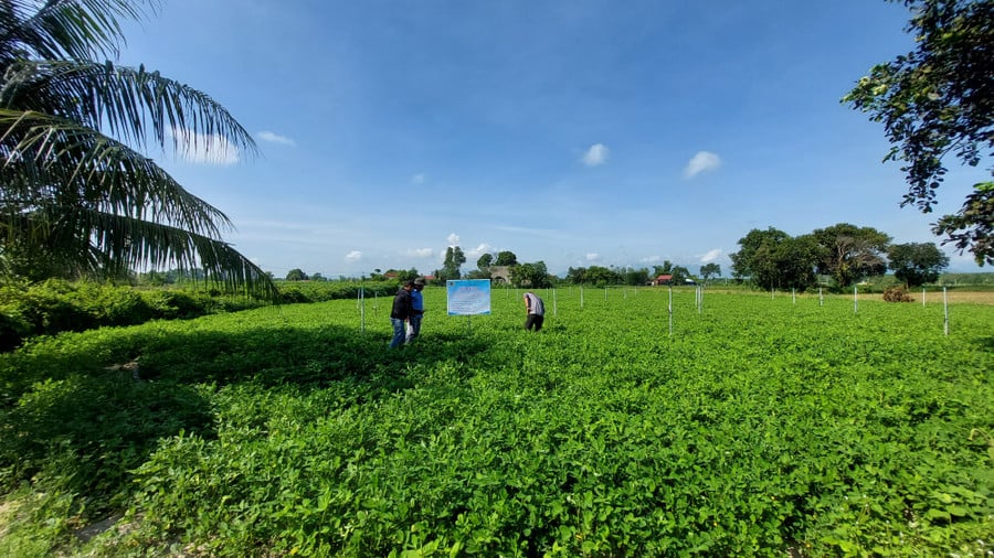 mo-hinh-tham-canh-canh-tac-lac-gan-lien-ket-chuoi-co-su-dung-he-thong-tuoi-nuoc-tiet-kiem.jpg
