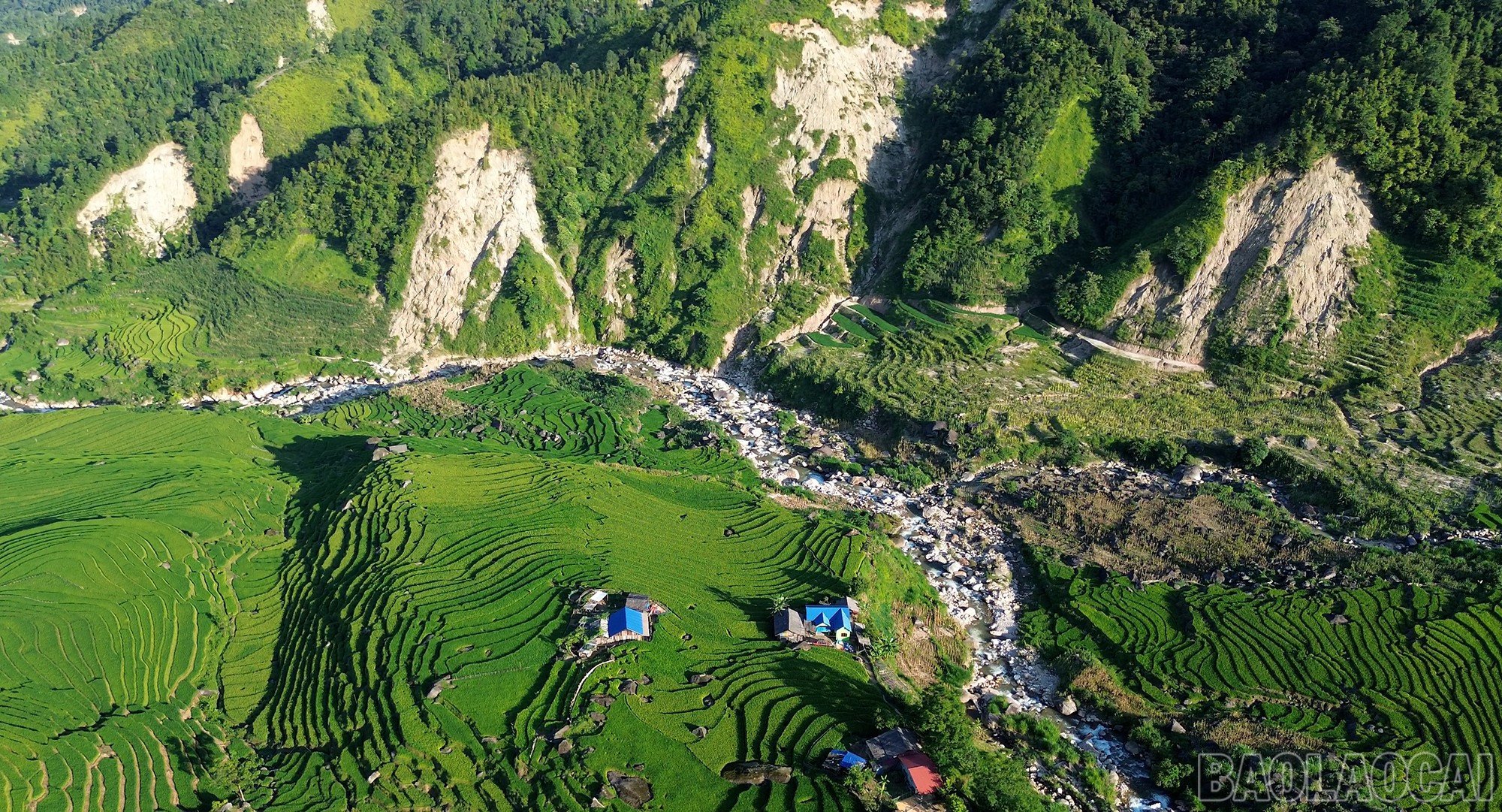 baolaocai-br_dji-0782mp400-00-07-23still001.jpg