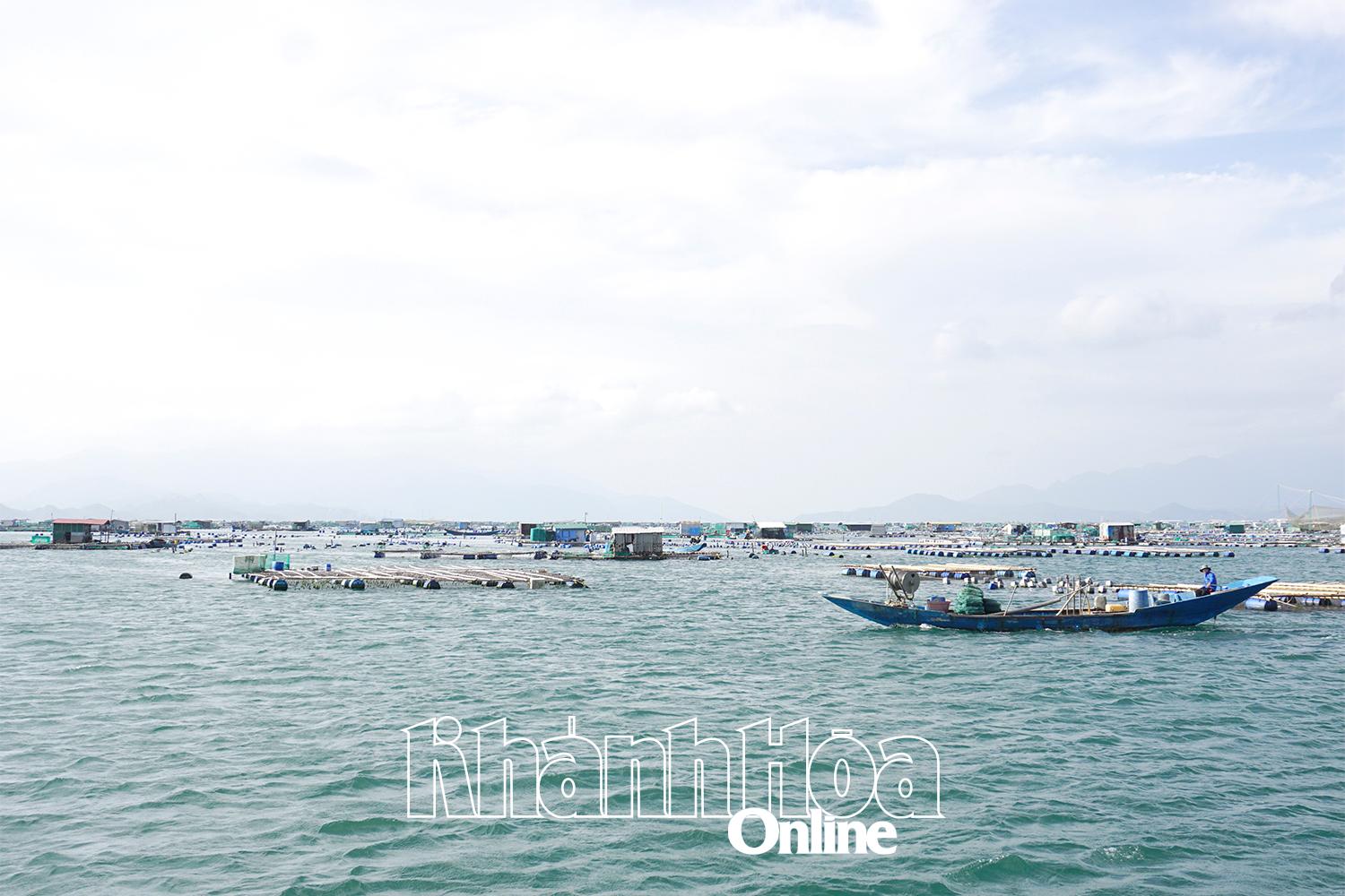 Lồng bè nuôi trồng thủy sản ngoài vùng quy định trên vịnh Cam Ranh.

