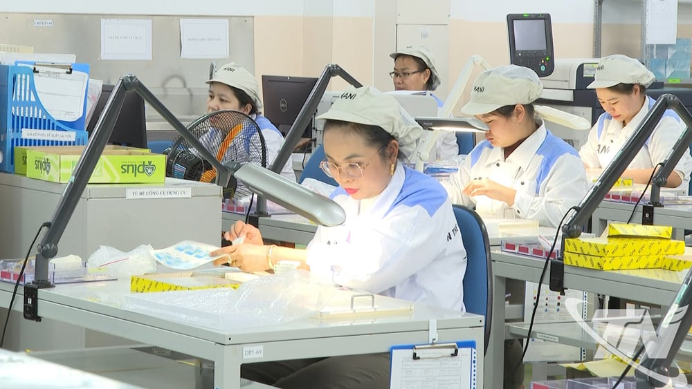 Zone de production de Mani Hanoi Company Limited.