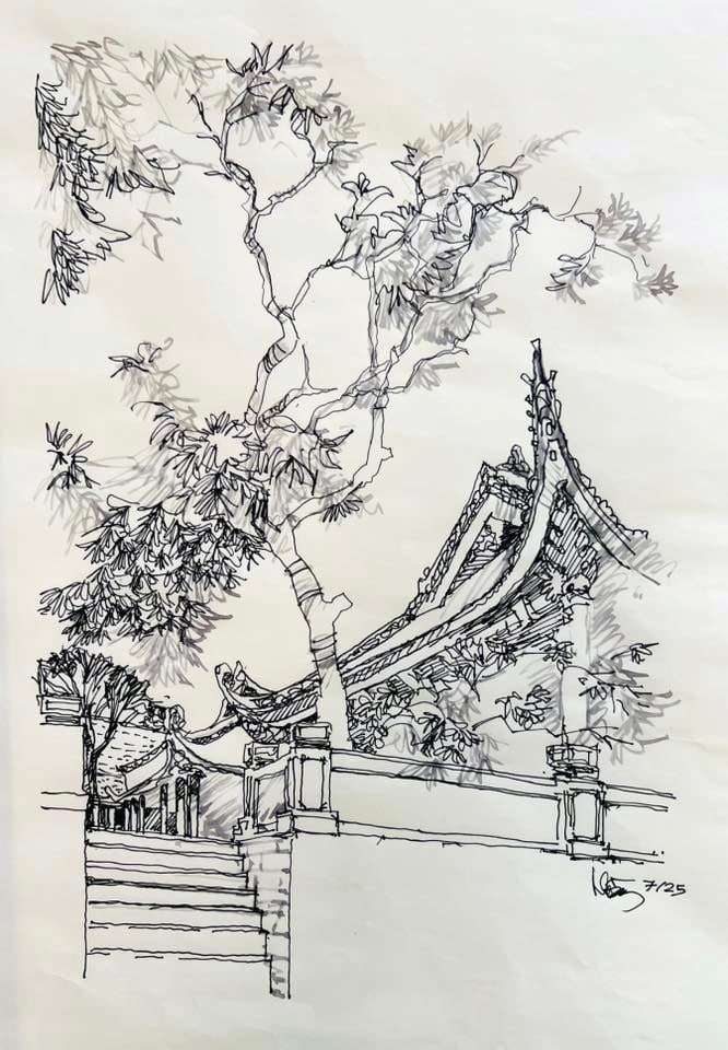 L'albero di guava