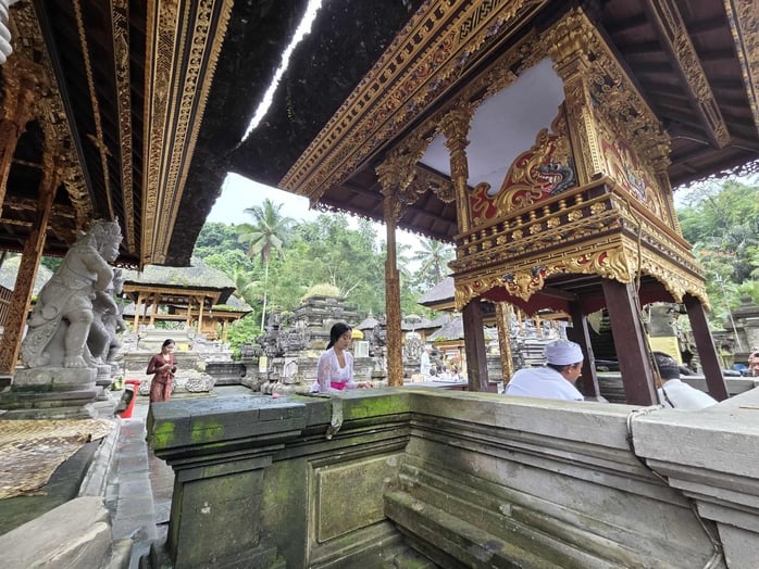 Ruộng bậc thang ở Bali có gì thu hút khách Tây đến thế?- Ảnh 14.