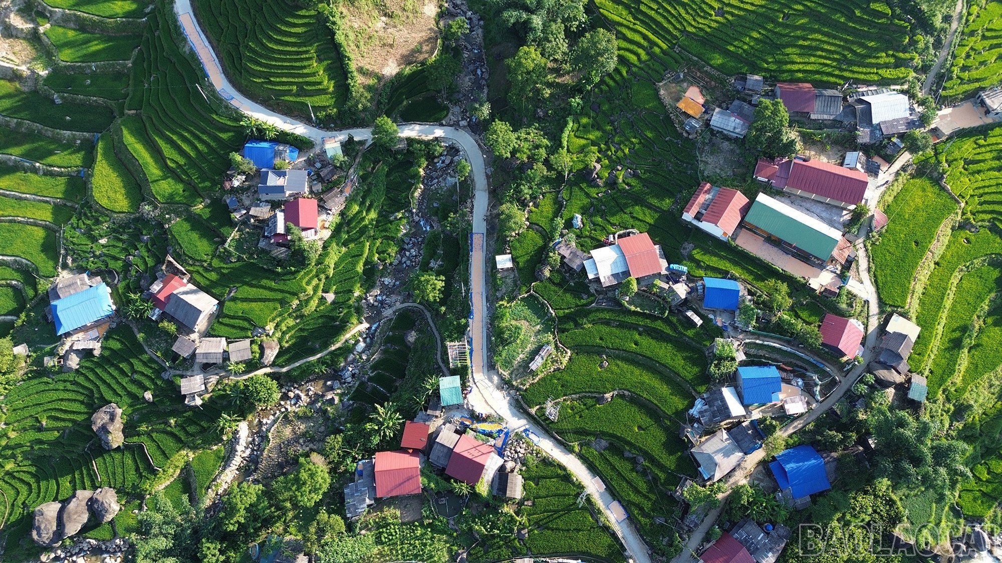 baolaocai-br_dji-0780.jpg