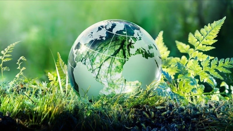 AI không chỉ mang lại hiệu quả về mặt năng suất mà còn đóng góp vào việc bảo vệ môi trường.