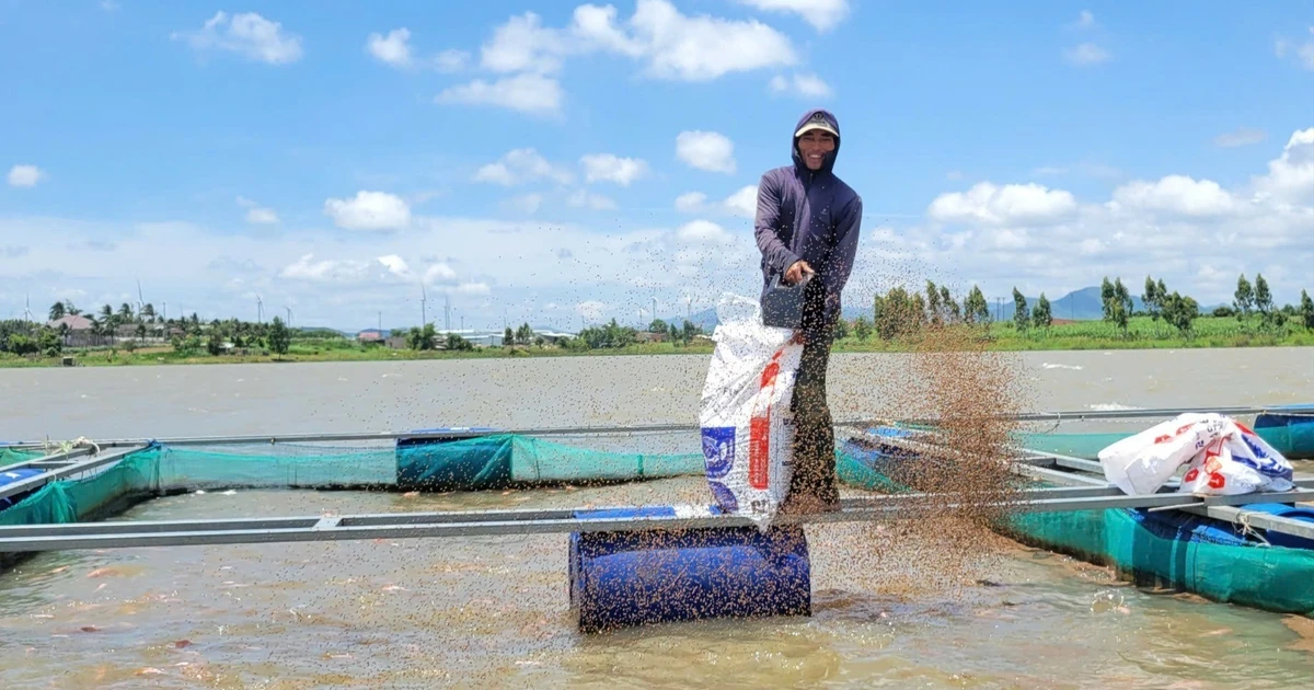 ស្ថិរភាព​ជីវភាព​រស់នៅ​តាម​រយៈ​ការ​ចិញ្ចឹម​ត្រី​នៅ​អាង​ស្តុក​ទឹក​អាន​ខេ-កាណាក់
