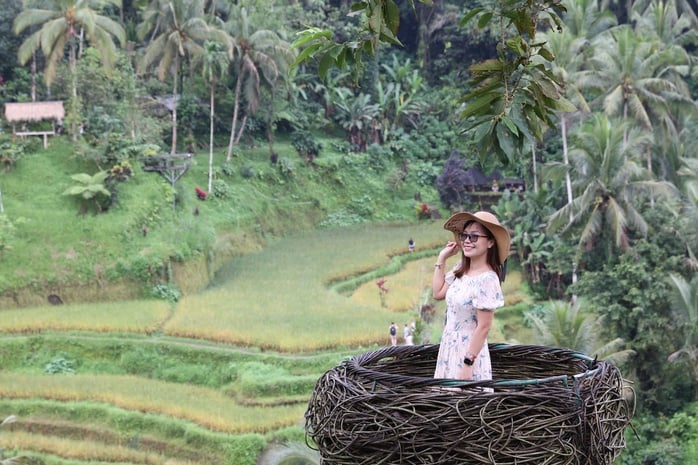 Ruộng bậc thang ở Bali có gì thu hút khách Tây đến thế?- Ảnh 8.