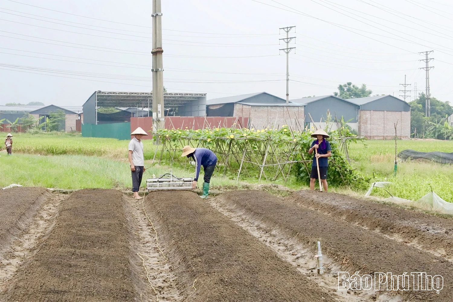 ชุมชนหวิญหุ่ง: ความก้าวหน้าเปิดทิศทางใหม่