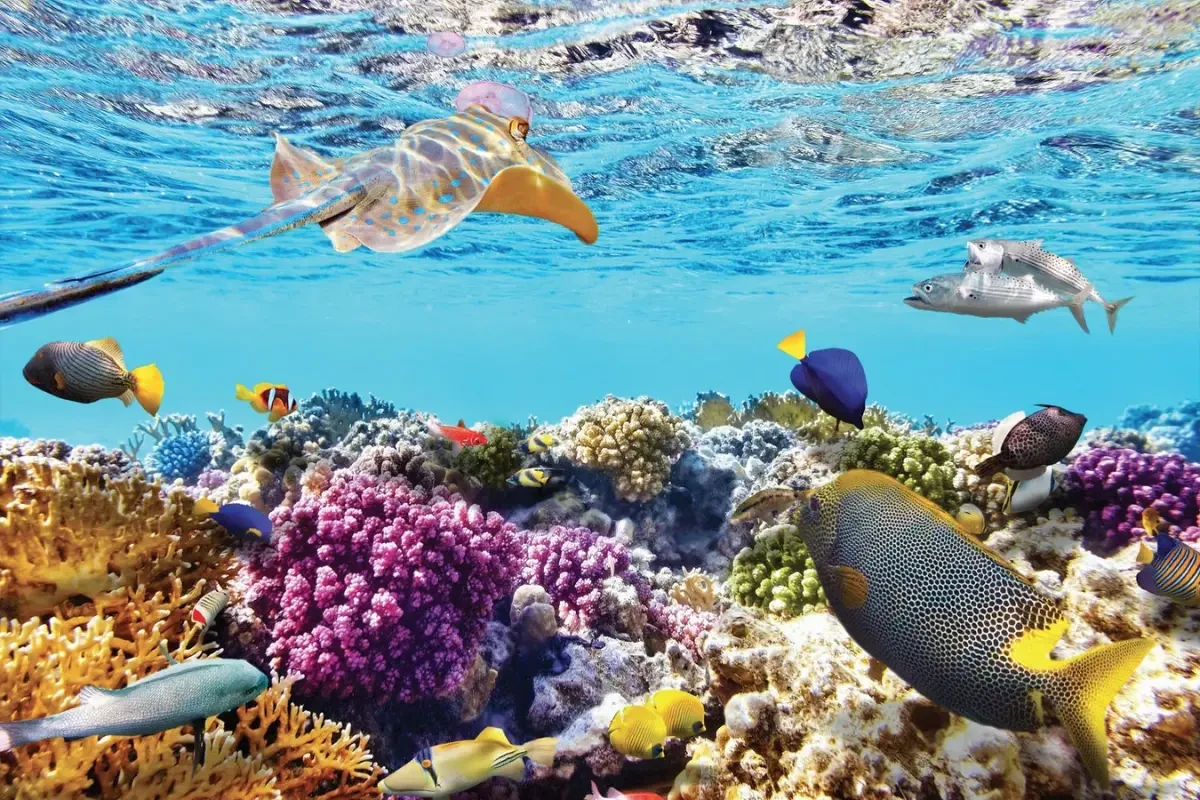Nha Trang 4 days 3 nights itinerary: Detailed food and accommodation schedule