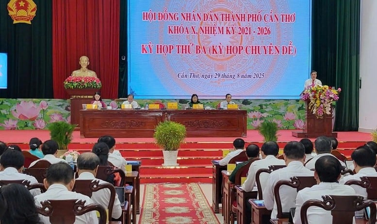 Cần Thơ hỗ trợ 5 triệu/ tháng cho cán bộ đi làm xa- Ảnh 1.