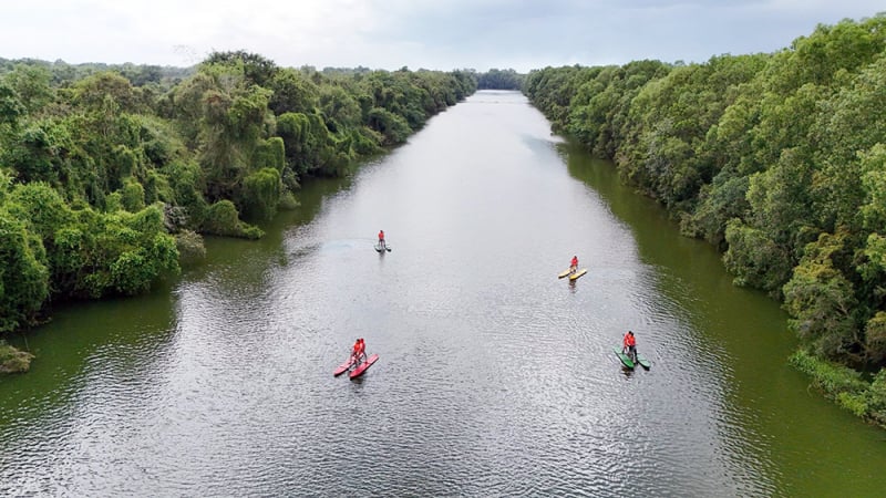 ជិះកង់លើទឹក - ល្បែងអន្តរជាតិដឹកព្រលឹងទន្លេ Dong Thap Muoi -0