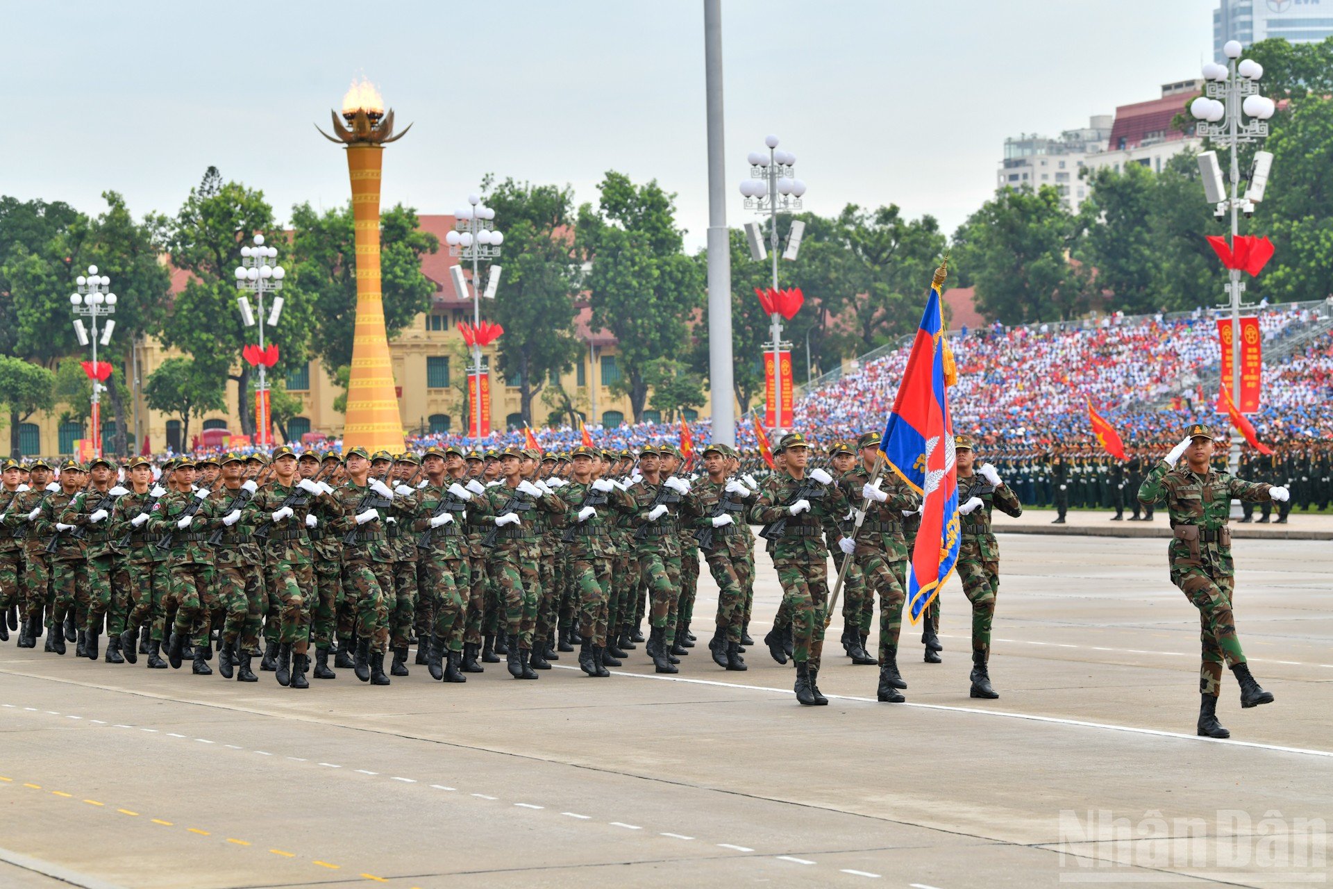 ndo_br_8-6196.jpg