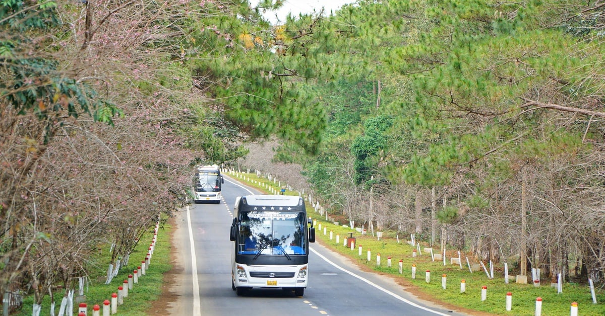 Măng Đen 'cháy phòng' dịp lễ Quốc khánh 2-9
