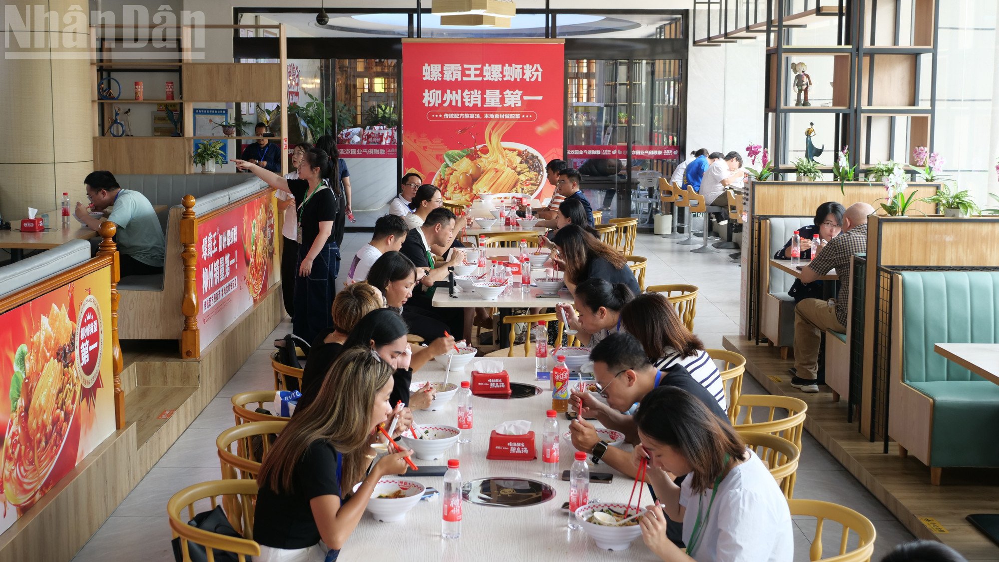 ndo_tl_a07-p2339225.jpg