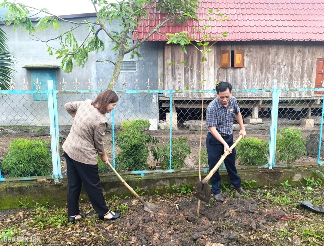 អ្នករៀបចំបានបើកយុទ្ធនាការដាំដើមឈើ និងជូនអ្នកភូមិ Ja Hoa Son ដើមត្រែចំនួន ៨០ដើម។