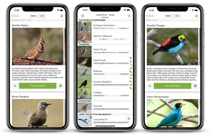 อินเทอร์เฟซแอป Merlin Bird ID (ที่มา: Merlin AI)