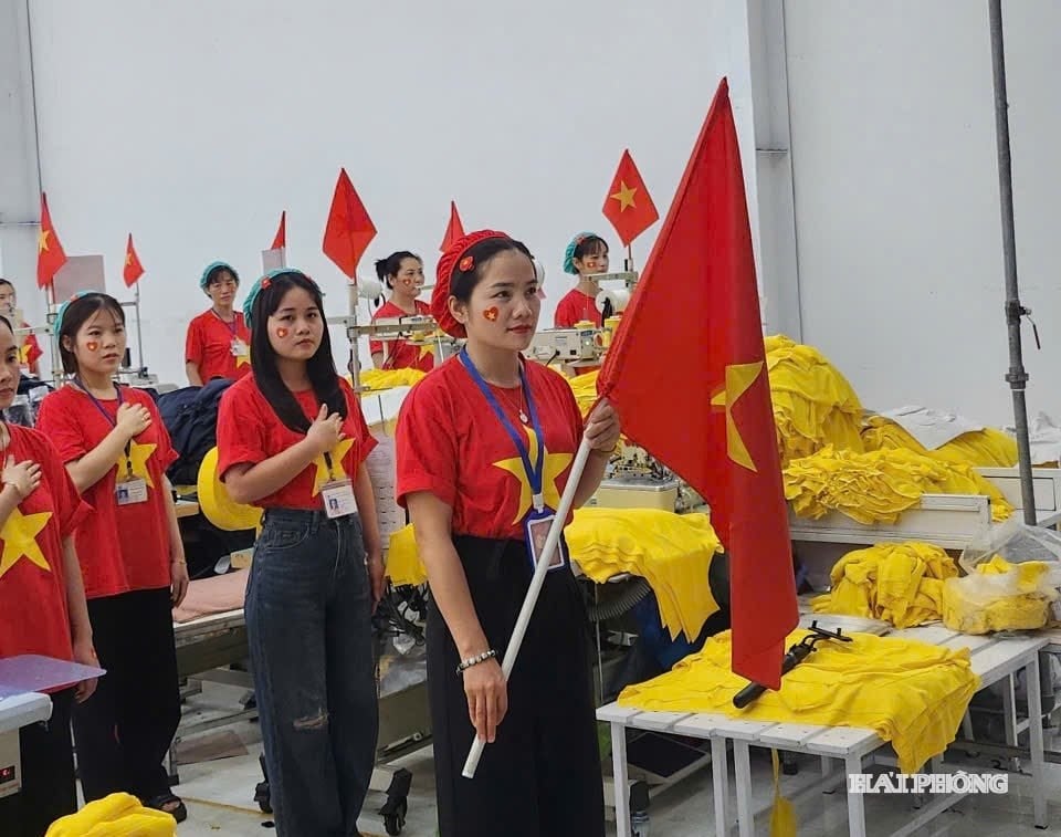 ផ្កាយមាស (១)