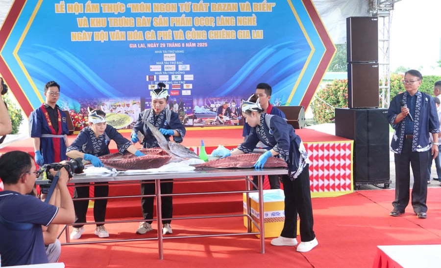man-trinh-dien-phi-le-ca-ngu-dai-duong-anh-quang-tan.jpg