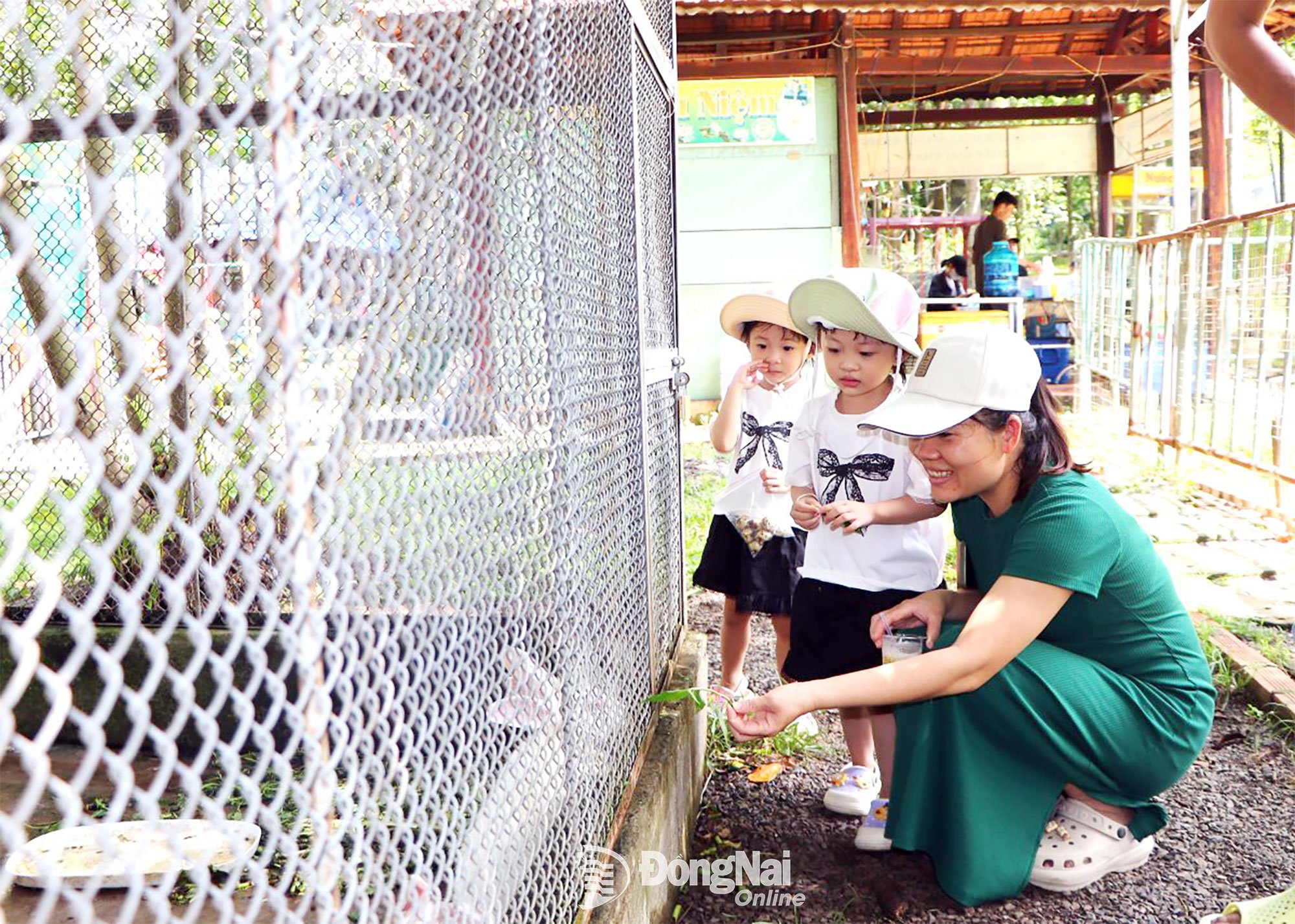 ブウロン観光エリアにある動物園は、子供たちにとって興味深いスポットの一つです。写真：ゴック・リエン