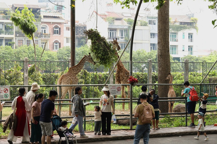 Những điều đặc biệt chỉ có ở Thảo Cầm Viên dịp Quốc khánh 2-9- Ảnh 4.