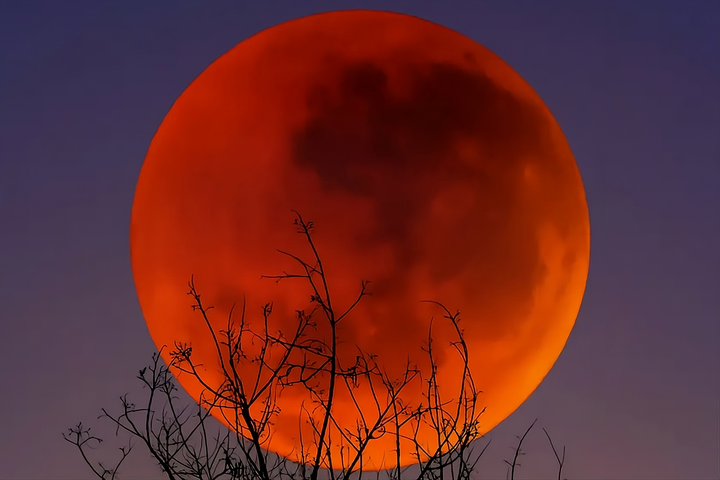 ปรากฏการณ์พระจันทร์สีเลือดแห่งการเก็บเกี่ยว (Harvest Blood Moon) คือปรากฏการณ์ที่ดวงจันทร์จะมืดลงและเปลี่ยนเป็นสีแดง (ที่มา: Alamy)