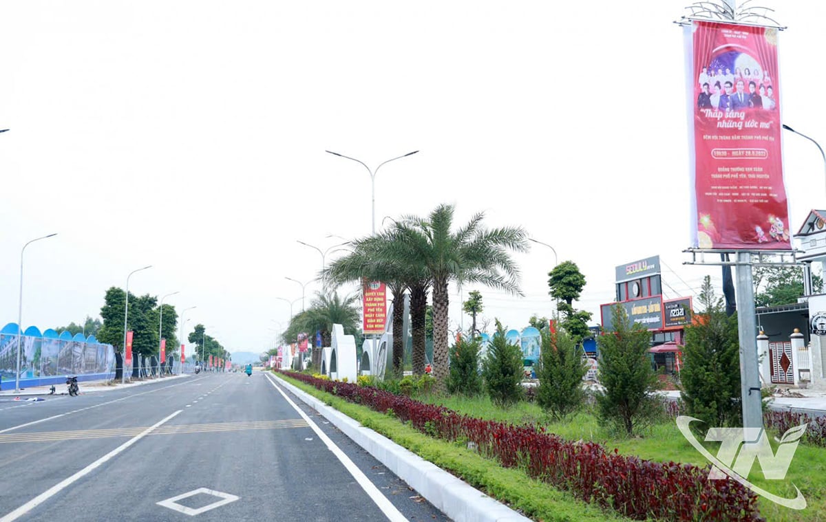ផ្លូវទៅកាន់ទីលាន Van Xuan ត្រូវបានដាំដោយដើមឈើជាច្រើនបង្កើតបាននូវទេសភាពដ៏ស្រស់ស្អាត។