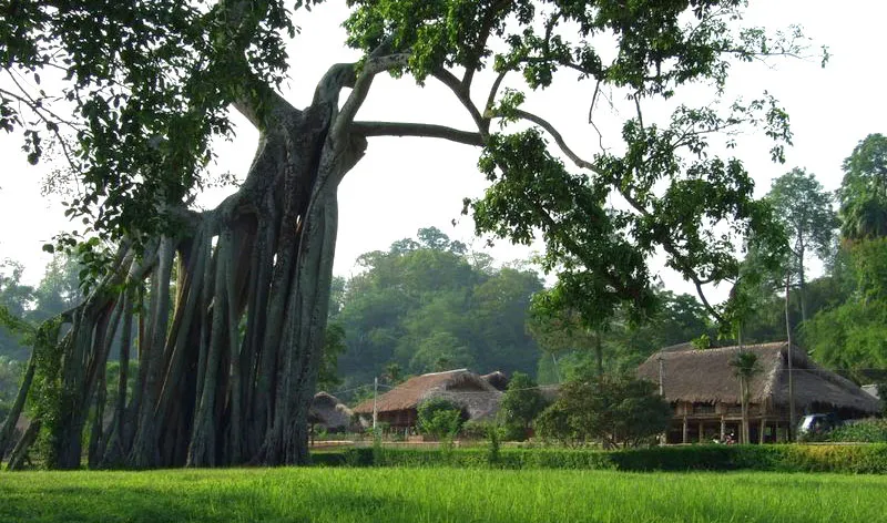 Về Tân Trào trong mùa cờ bay