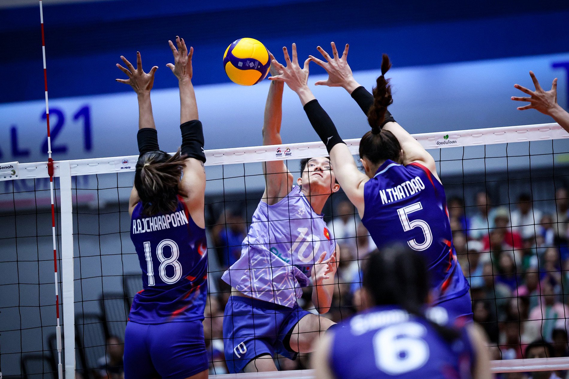 bong chuyen sea vleague 1.jpg